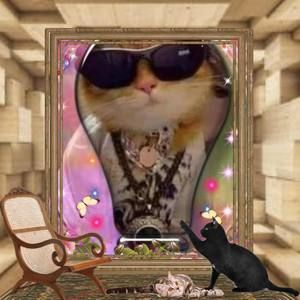 Meet your Posher, Brenda